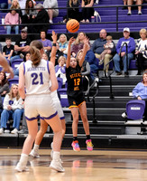 ©CGP 030226 REG @ Sevier County 000311