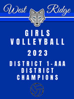 36x48_girls volleyball district champions 2 2023 copy