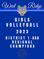 36x48_girls volleyball regional champions 2023 copy