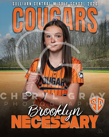 BROOKLYN NECESSARY SCMC SOFTBALL BANNER 2026 copy 2