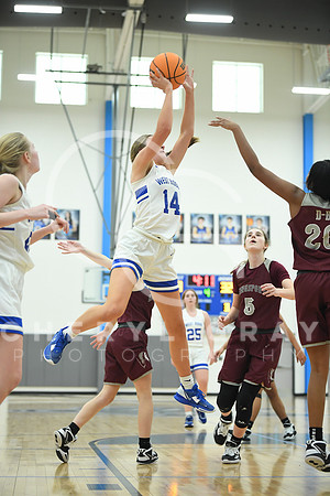 ©CGP_012323_Dobyns Bennett @ West Ridge_0339