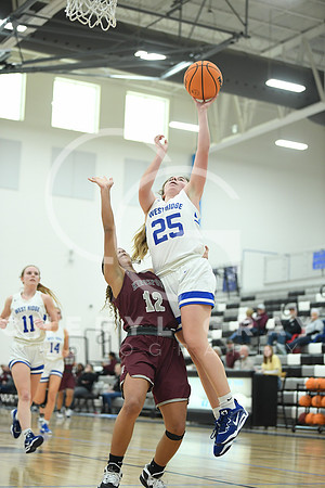 ©CGP_012323_Dobyns Bennett @ West Ridge_0409