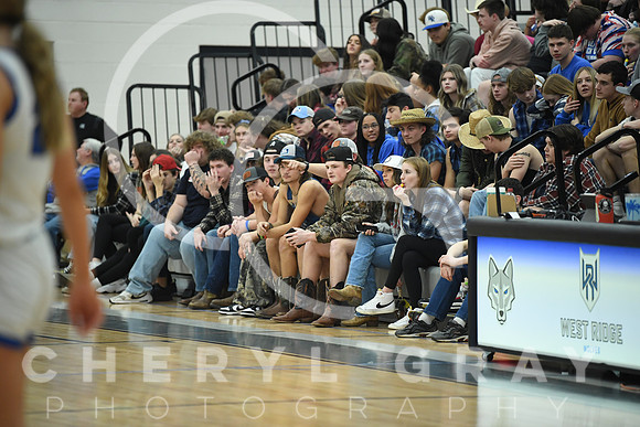 ©CGP_012323_Dobyns Bennett @ West Ridge_1638