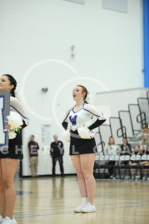 ©CGP_012323_Dobyns Bennett @ West Ridge_2010