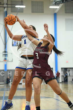 ©CGP_012323_Dobyns Bennett @ West Ridge_2469