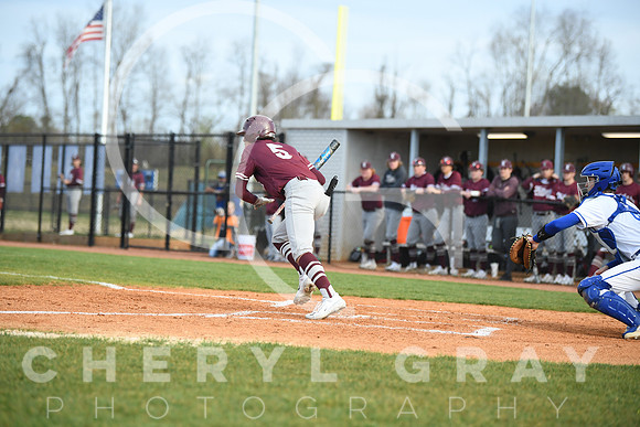 ©CGP_032823_Dobyns Bennett @ West Ridge_0814