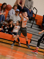 COUGARS Basketball 12-16-17 vs Colonial Hgts