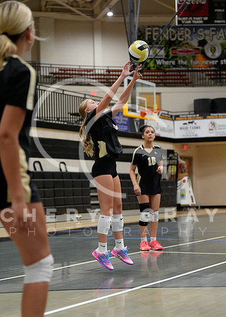 ©CGP 072126 DCHSvball26 00911