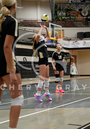©CGP 072126 DCHSvball26 00910