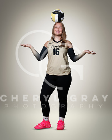 dchs 6 copy