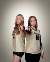 dchs 3 copy