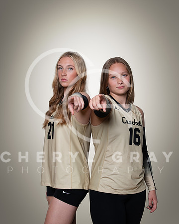 dchs 3 copy