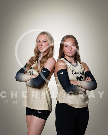 dchs 1 copy