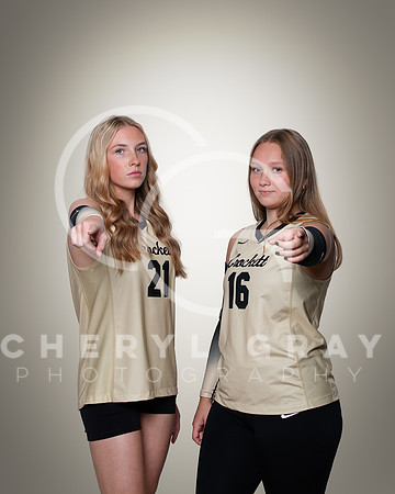 dchs 2 copy