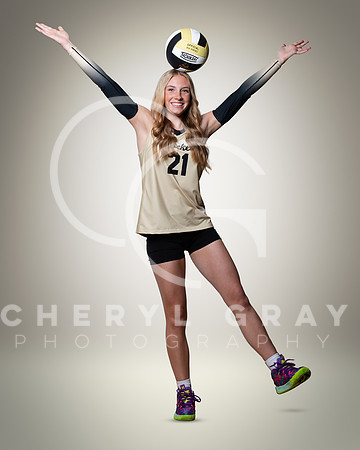 dchs 7 copy
