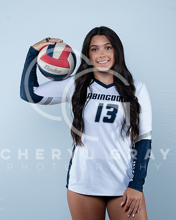 ©CGP 080926 AHSvball26 Ridge 00292