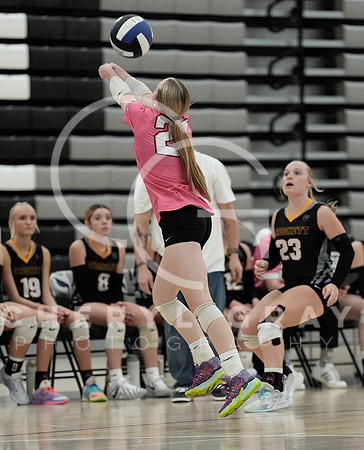 ©CGP 090126 David Crockett @ West Ridge 01216