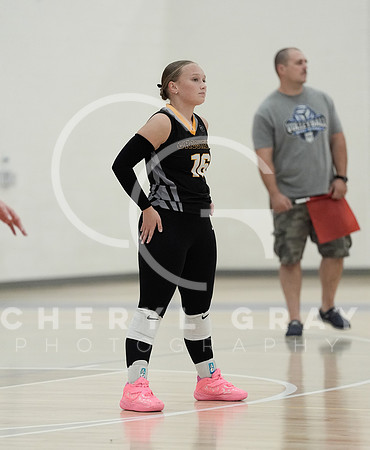 ©CGP 090126 David Crockett @ West Ridge 01314