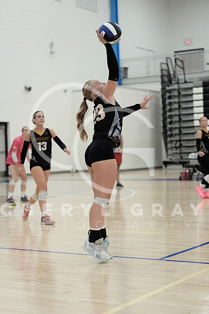 ©CGP 090126 David Crockett @ West Ridge 01371