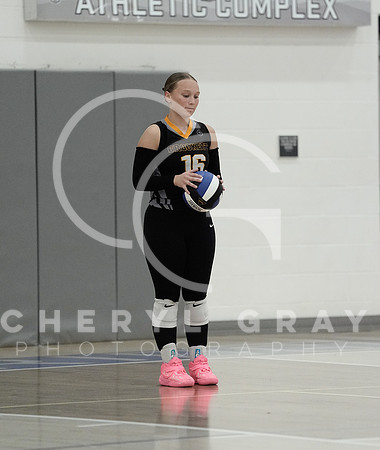 ©CGP 090126 David Crockett @ West Ridge 01517