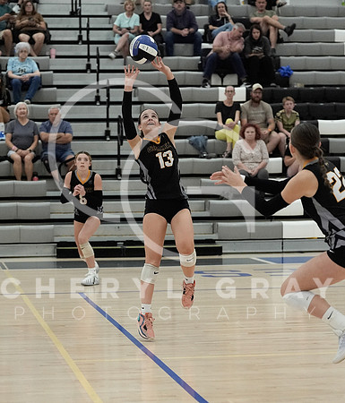 ©CGP 090126 David Crockett @ West Ridge 01750