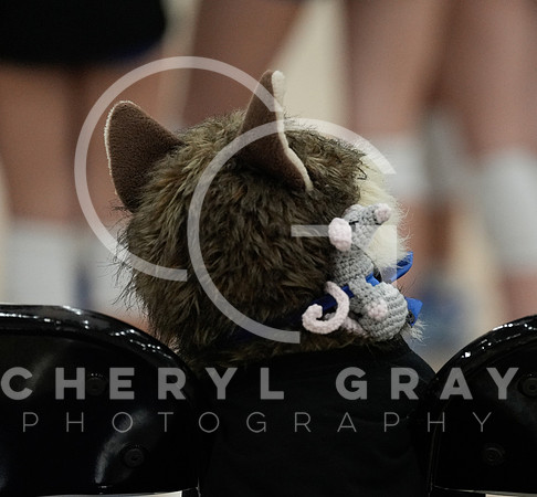 ©CGP 090126 David Crockett @ West Ridge 02239