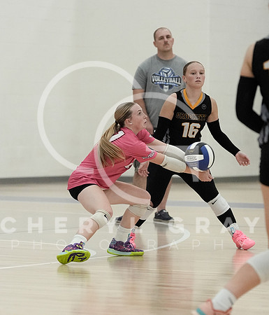 ©CGP 090126 David Crockett @ West Ridge 02511