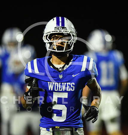 ©CGP 090426 Elizabethton @ West Ridge 005401