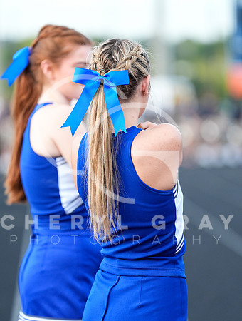 ©CGP 091126 West Ridge @ Hardin Valley 008923