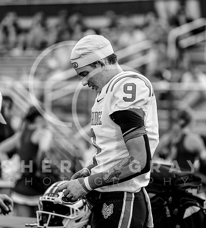 ©CGP 091126 West Ridge @ Hardin Valley 009737