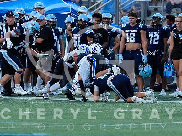 ©CGP 091126 West Ridge @ Hardin Valley 009937
