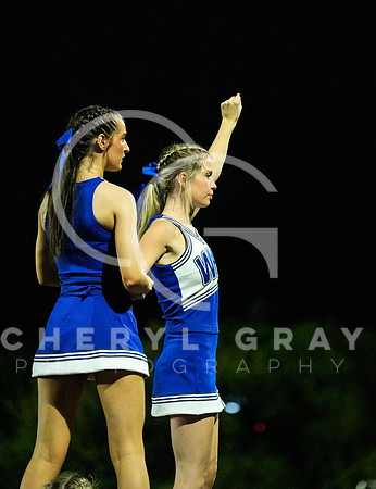 ©CGP 091126 West Ridge @ Hardin Valley 010371