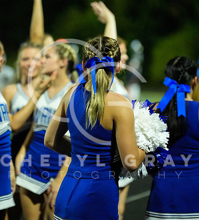 ©CGP 091126 West Ridge @ Hardin Valley 010429