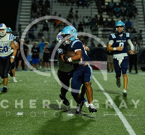 ©CGP 091126 West Ridge @ Hardin Valley 011180