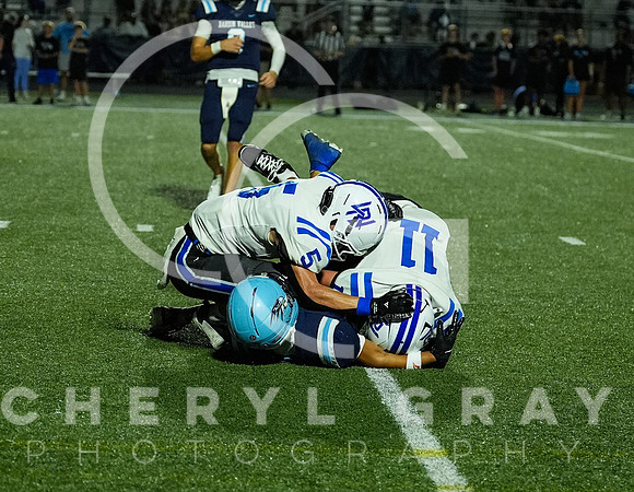 ©CGP 091126 West Ridge @ Hardin Valley 011199