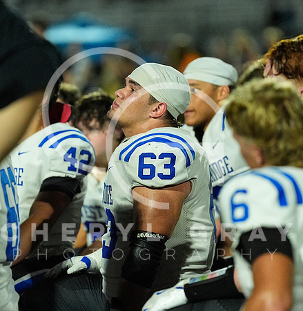 ©CGP 091126 West Ridge @ Hardin Valley 012077