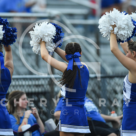 ©CGP 091126 West Ridge @ Hardin Valley 012615