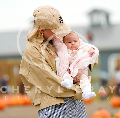©CGP 101026 Pumpkin Patch 009271