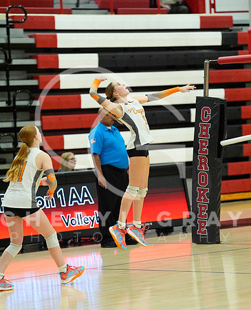 ©CGP 100326 Sectionals SCMS vs Maury 000556