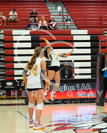 ©CGP 100326 Sectionals SCMS vs East Ridge 02982