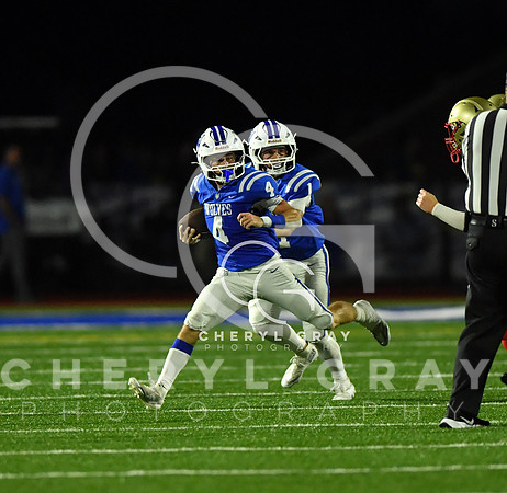 ©CGP 091826 Daniel Boone @ West Ridge 009265 copy