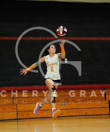 ©CGP 100326 Sectionals SCMS vs East Ridge 03326