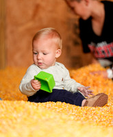 ©CGP 101026 Pumpkin Patch 007297