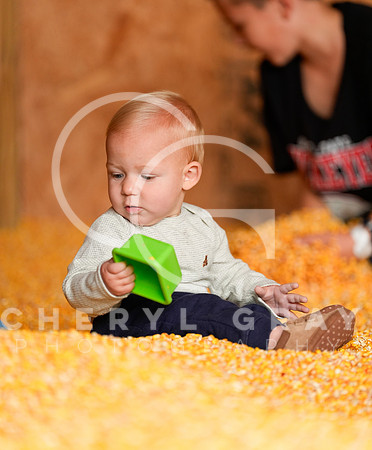 ©CGP 101026 Pumpkin Patch 007297
