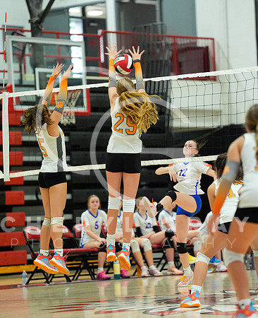 ©CGP 100326 Sectionals SCMS vs Maury 000675