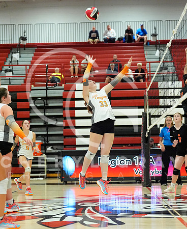©CGP 100326 Sectionals SCMS vs East Ridge 03517