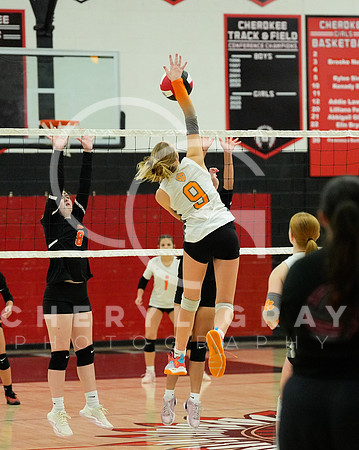 ©CGP 100326 Sectionals SCMS vs East Ridge 02751