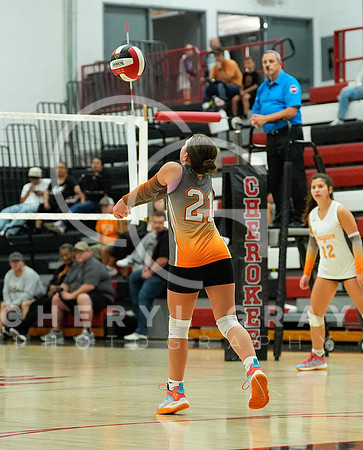 ©CGP 100326 Sectionals SCMS vs East Ridge 02830