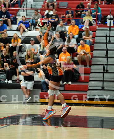 ©CGP 100326 Sectionals SCMS vs Maury 000200