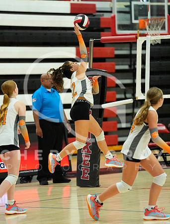 ©CGP 100326 Sectionals SCMS vs Maury 000511